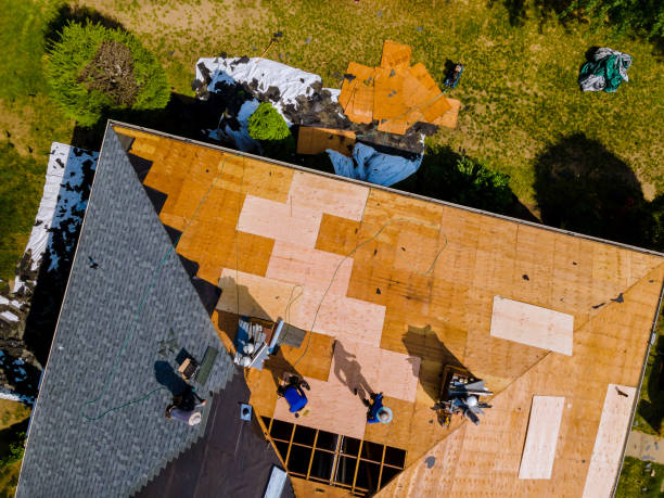 Best Gutter Installation and Roofing  in Lake Holiday, IL
