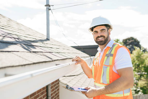 Best Flat Roof Repair Services  in Lake Holiday, IL
