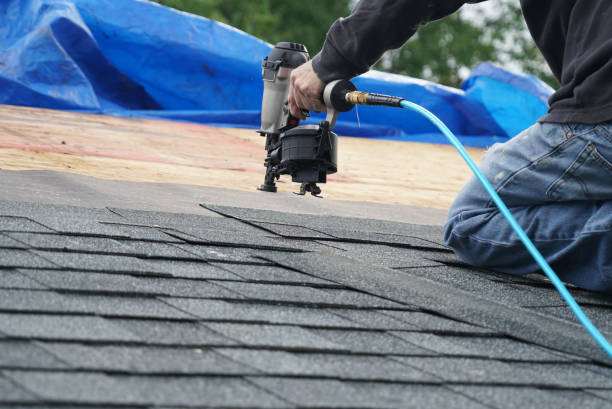 Best Best Roofing Contractors  in Lake Holiday, IL